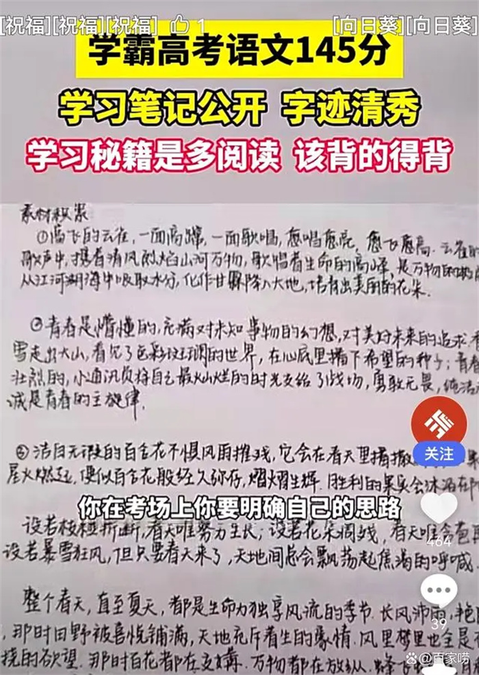 语文145分学霸笔记公开字迹清秀