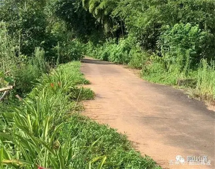 农村的路，越修越好，走的人，越来越少